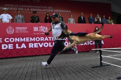 Desfile Revolución Mexicana